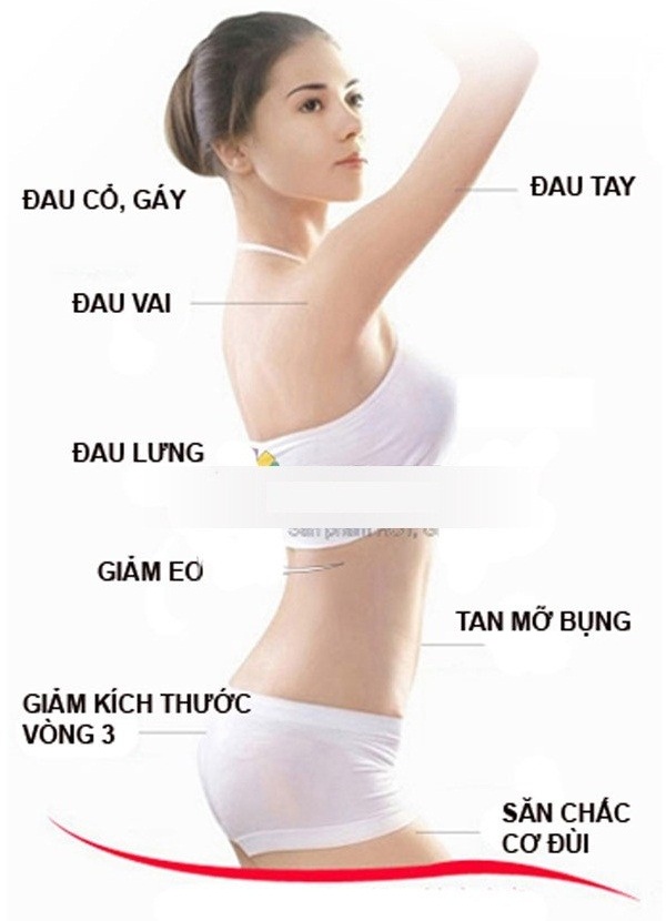 Máy rung giảm béo toàn thân Crazy Fit eo thon